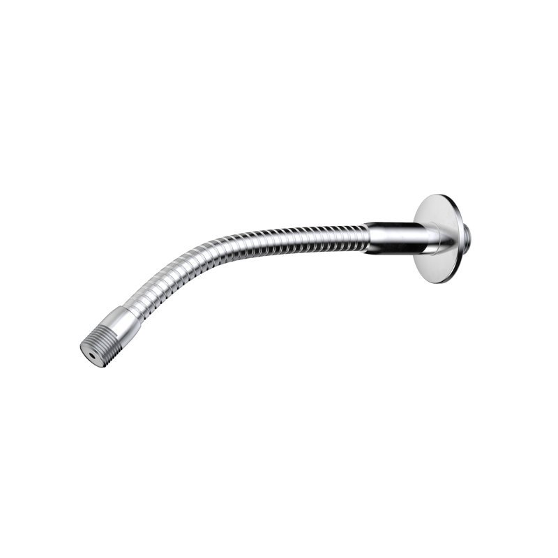 Bras de douche flexible et bride Stylewise, Chrome poli