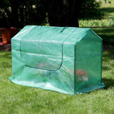 Jayelle Outdoor Portable Mini Greenhouse with Green Cover