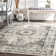 Oriental Area Rug