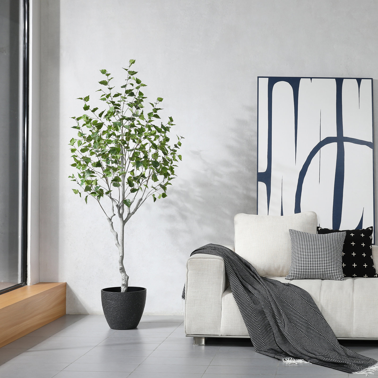 Adcock Birch Tree in Pot, 72" H x 24" W x 24" D