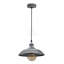 1 - Light Single Pendant-16479993