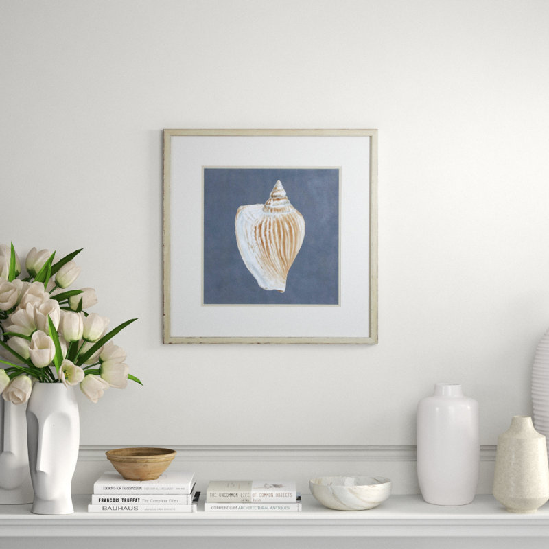 Shell On Slate VI Print by Meagher