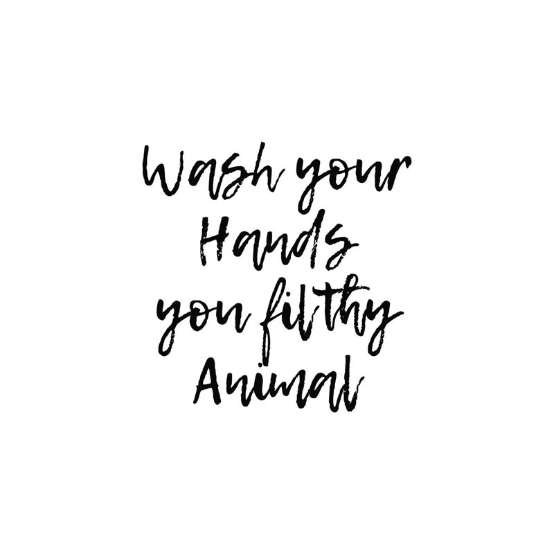 Wash Your Hands You Filthy Animal - Wrapped Canvas Print, 101.6 cm H x 66.04 cm W x 3.175 cm D