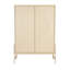 Cabinet Storage Cabinet