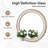 Functional Mirror With Cabine