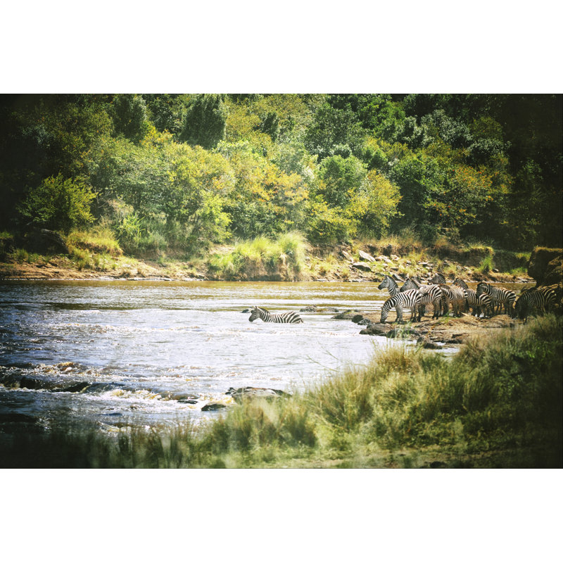 African Plains VIII - Photograph, 20 cm H x 30 cm W, Wrapped Canvas
