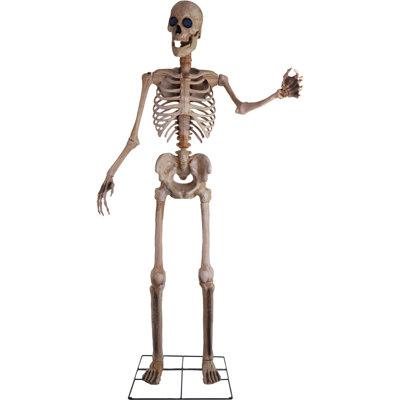 Skeletons Bones McNeely the Towering Skeleton Figurine