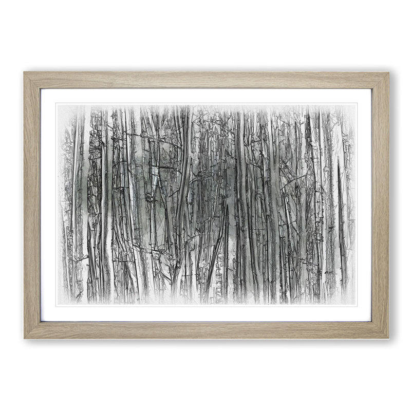 Forest Woodland - Picture Frame Drawing, Oak, 36cm H x 48cm W x 2cm D