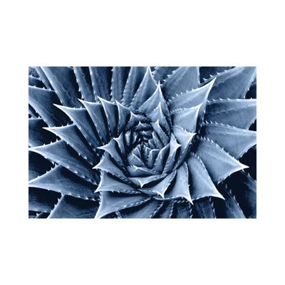 Indigo Succulent I by Mia Jensen - Wrapped Canvas Painting