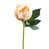 Light Orange selected