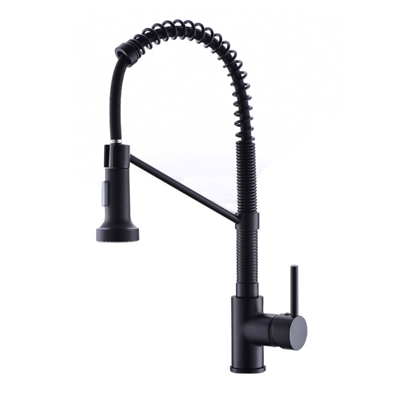Robinet de cuisine avec douchette extractible en acier inoxydable nickel brossé