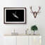Sea Lion - Picture Frame Painting Print-55613968-55613973
