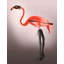 Flamant rose avec bottes crépues-662300893