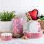 Bol/plat « balancelle » Bona & Paw-52206667