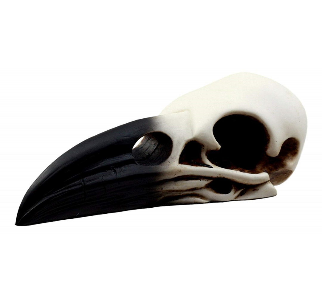 Fernagh Figurines & Sculptures World Menagerie