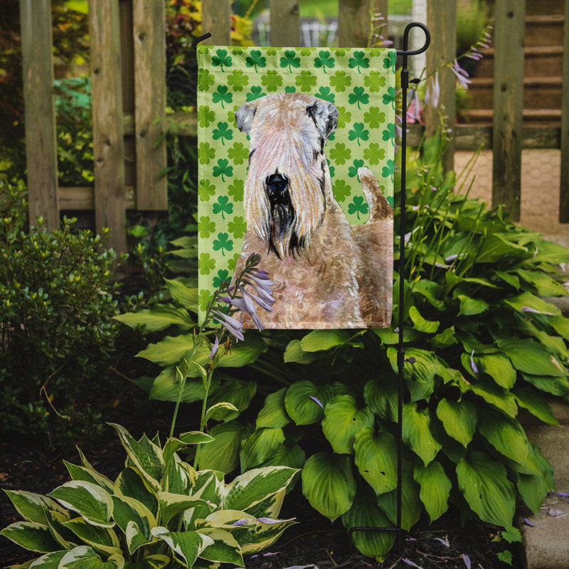 Drapeau de jardin à 2 côtés st. patrick day trèfle, Terrier blond à poil doux