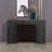 Vanessa Vanity