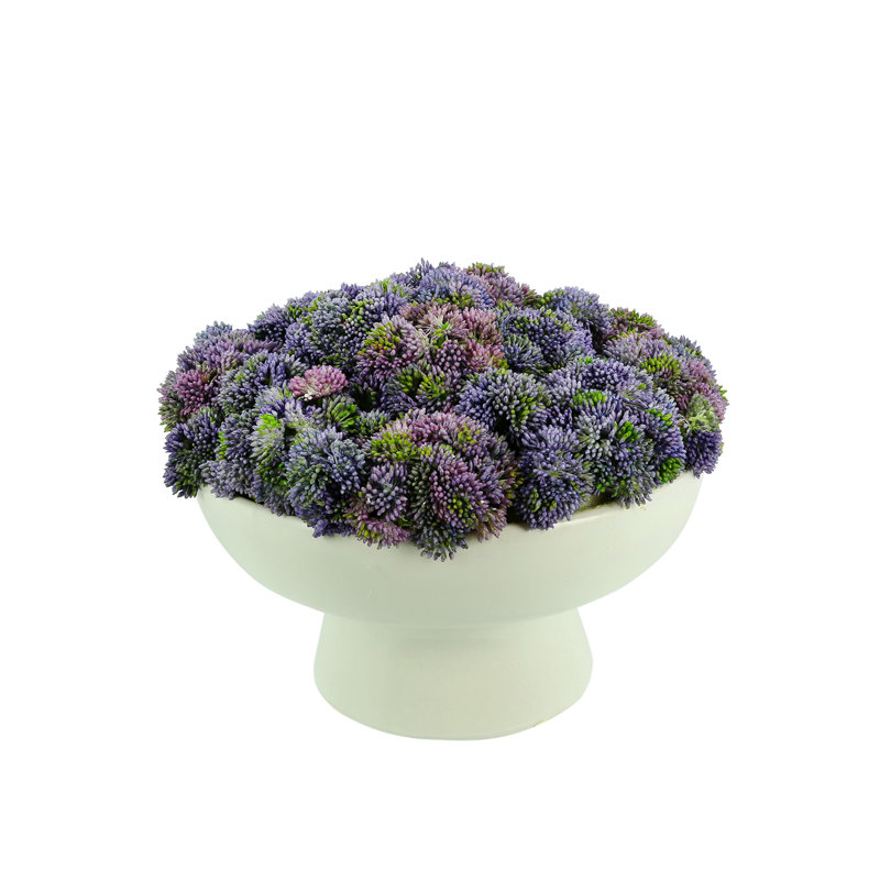 Sedum Arrangement in Ceramic Pedestal Vase, Purple