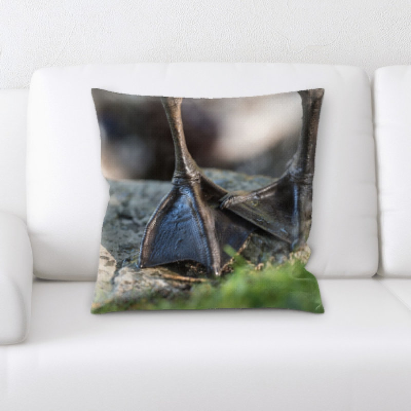 Coussin oiseau