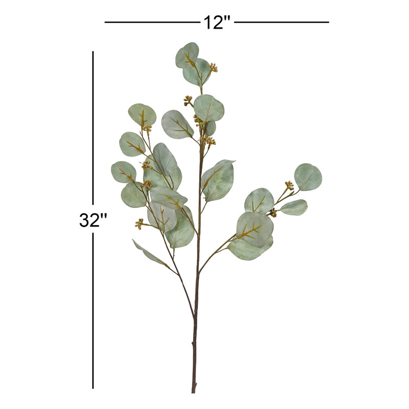 Branche d'eucalyptus Winnetka
