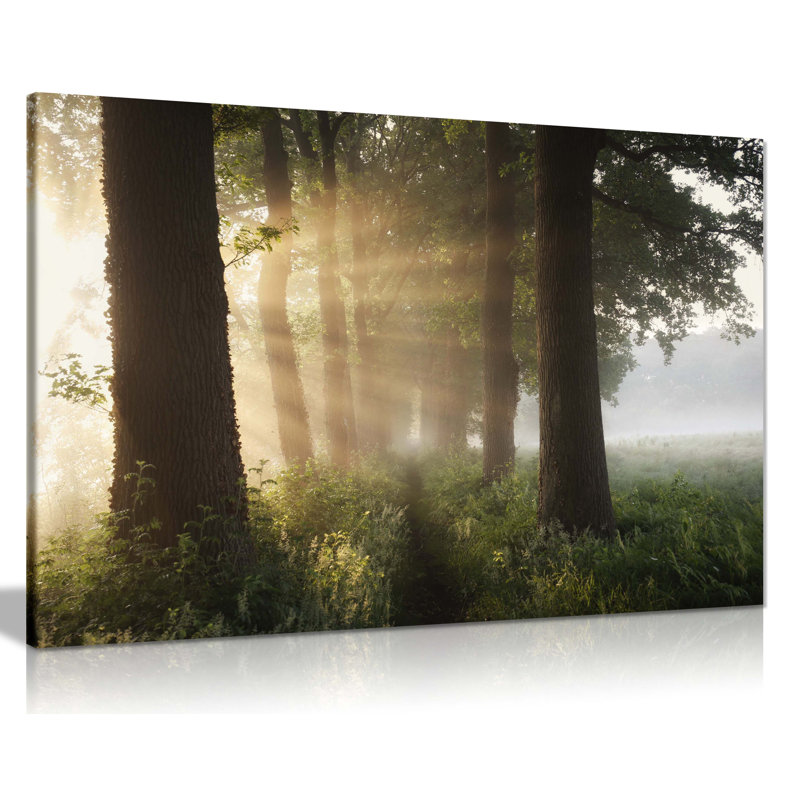 Panther Print Fine Art Prints Summer Sunlight Trees Landscape Artistic Framed Canvas Prints, Pictures For Home Walls, Bedroom, Living Room & Bathroom Decor - Wrapped Canvas Art Prints