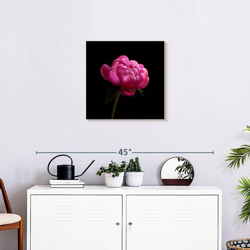Pivoine rose foncé Arney, H 20 po x l 20 po