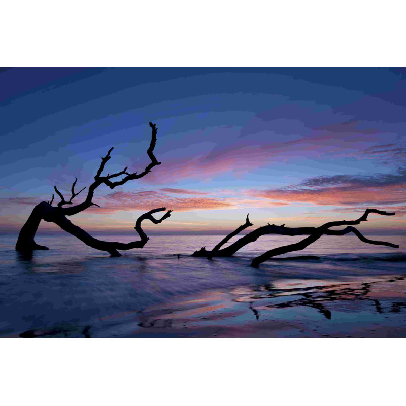 " Driftwood Beach " by PHBurchett, 8" H x 12" W  