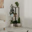 Plant Stand - Set of 6-597922288