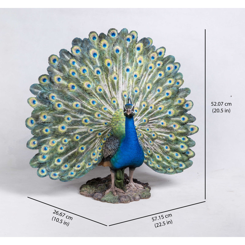 Peacock with Feathers Out Statue