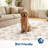 Floral Machine Washable Rug with Rubber Backing Foldable Printed Non Slip Carpet, Soft Easy Care Home Decor Floor Cover for Living Room Bedroom-109768746-109768747