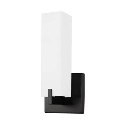 Stratford Steel LED Armed Sconce