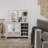 Red Barrel Studio® 2 Door Shoe Cabinet With Shelves-1002629867