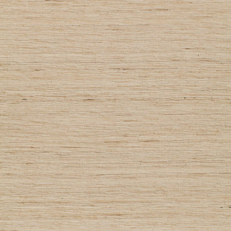 Tussah Fabric