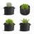 VEVOR Growing Kit-100614001