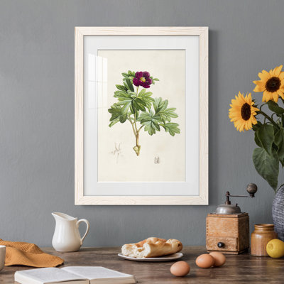 «Pretty Botanicals III», cadre photo