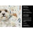 White Lhasa Apso Coffee Bar Kitchen Towel-1168063078