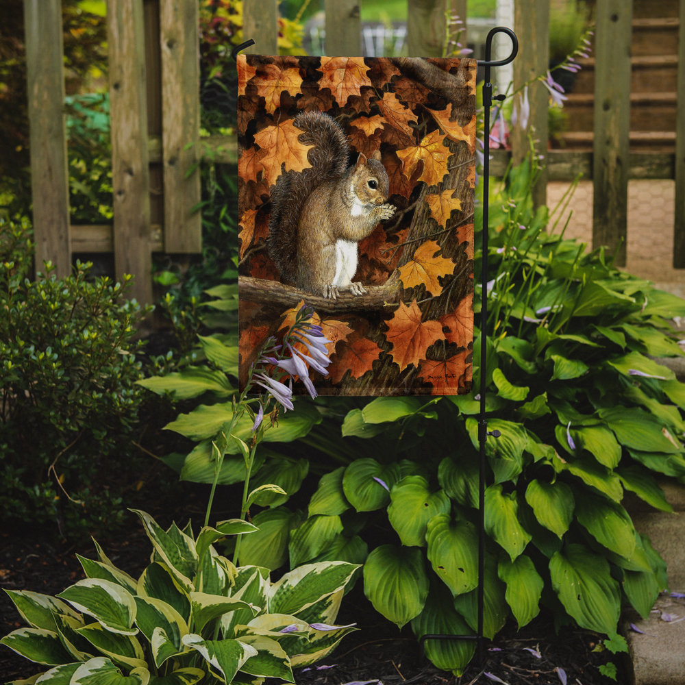Berryman Autumn Gray Squirrel by Daphne Baxter 2-Sided Garden Flag Millwood Pines 