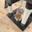 Amarious Cat Perch