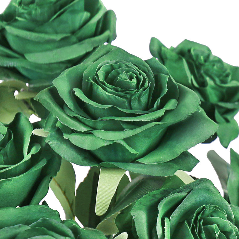 Grand rosier Jaafer Deluxe, Vert émeraude