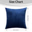 Aspire Homeware Embossed Square Velvet Cushion Cover-1369239074-1367818242