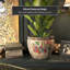 Cache-pot Shewmaker-1825344164-1825344162