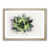 Oak Framed selected