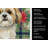 Gold and White Shih Tzu Christmas PoinsettIas Kitchen Towel-2080584070