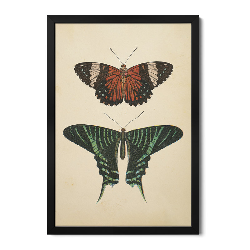 Papillons I - reproduction d'art murale - affiche de galerie, H 32 po x l 24 po