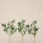 23in. Lighted Artificial Olive Branch Stems with 30 Warm White LED Lights - Set of 3