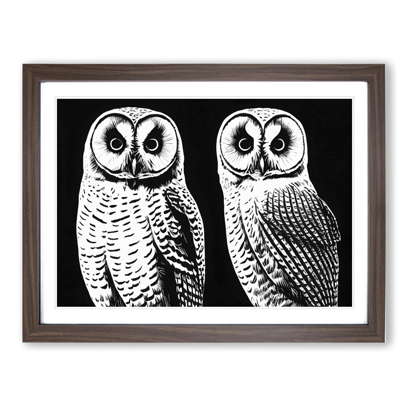 Owls - Framed Print, 25cm H x 34cm W, Walnut Framed