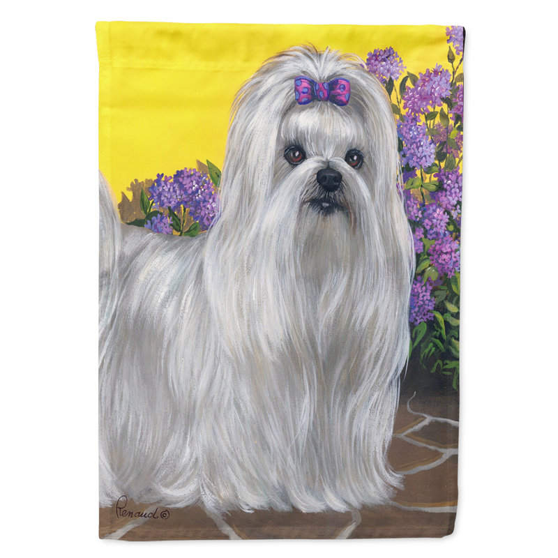 Drapeau de jardin en polyester à 2 côtés Graziello Bichon Frise Do It Better 1 x 0,11 pi