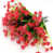 Orange Red selected