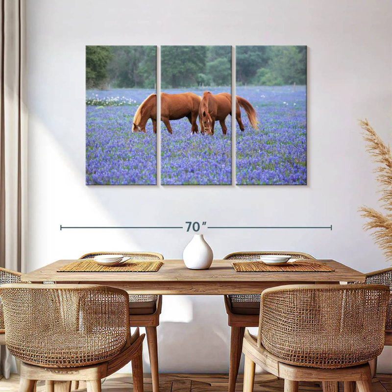 Roux broutant parmi les Bluebonnets, H 36 po x l 57 po