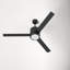 52'' 3 Blade Ceiling Fan with LED Light Kit-1011599639